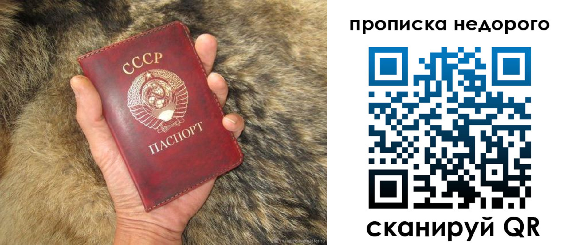 прописка для школы в Собинке